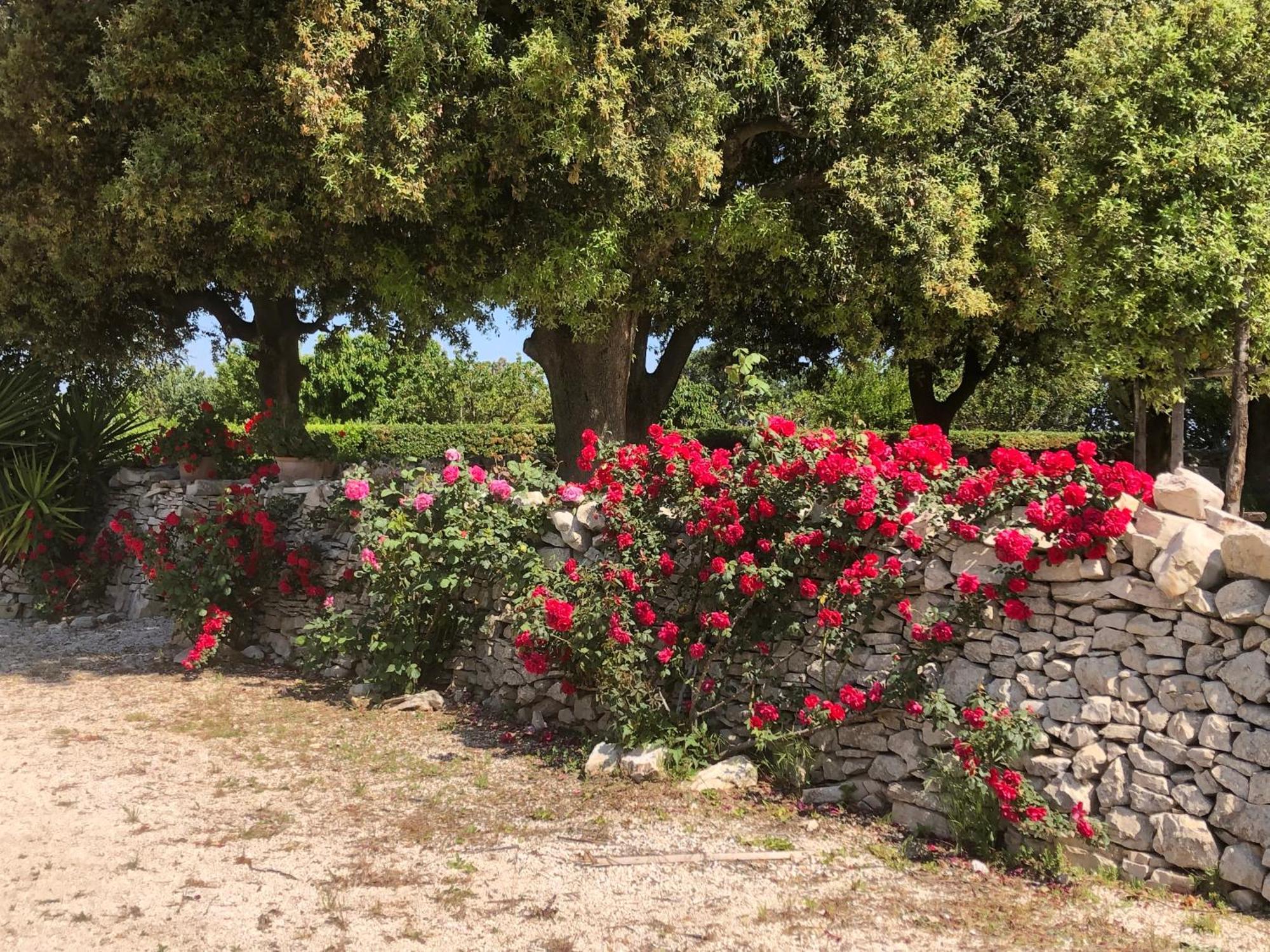 Villa Ai Pilieri Di Bagnoli Castel Del Monte  Exterior foto